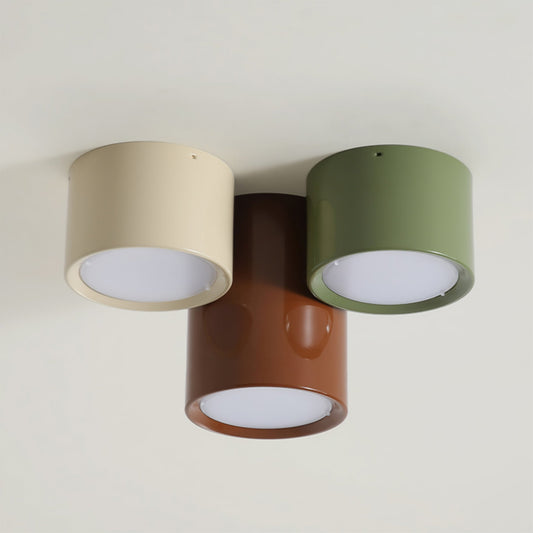 Asher Combination Ceiling Light