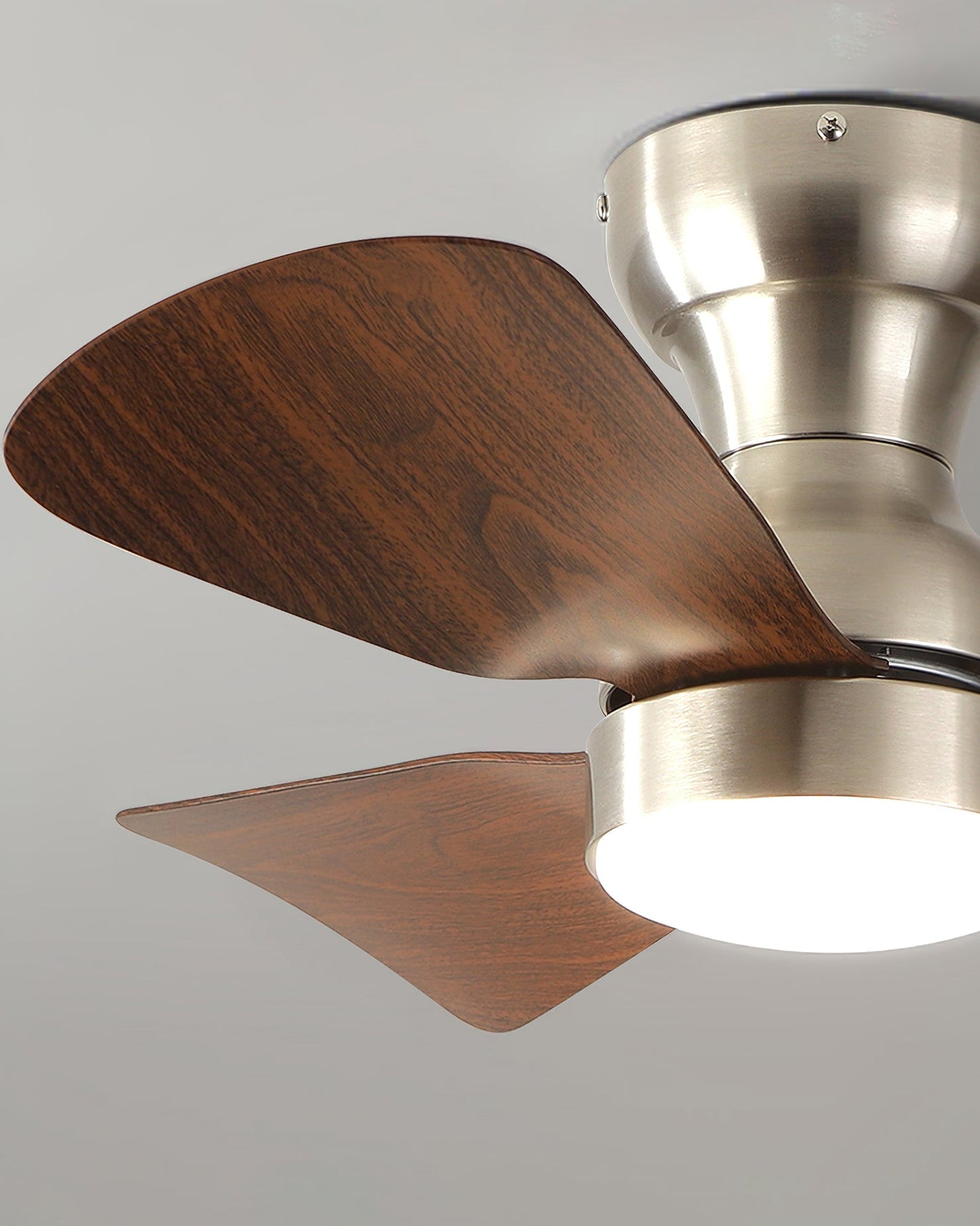 Bobe Ceiling Fan Light
