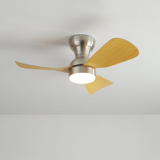 Bobe Ceiling Fan Light
