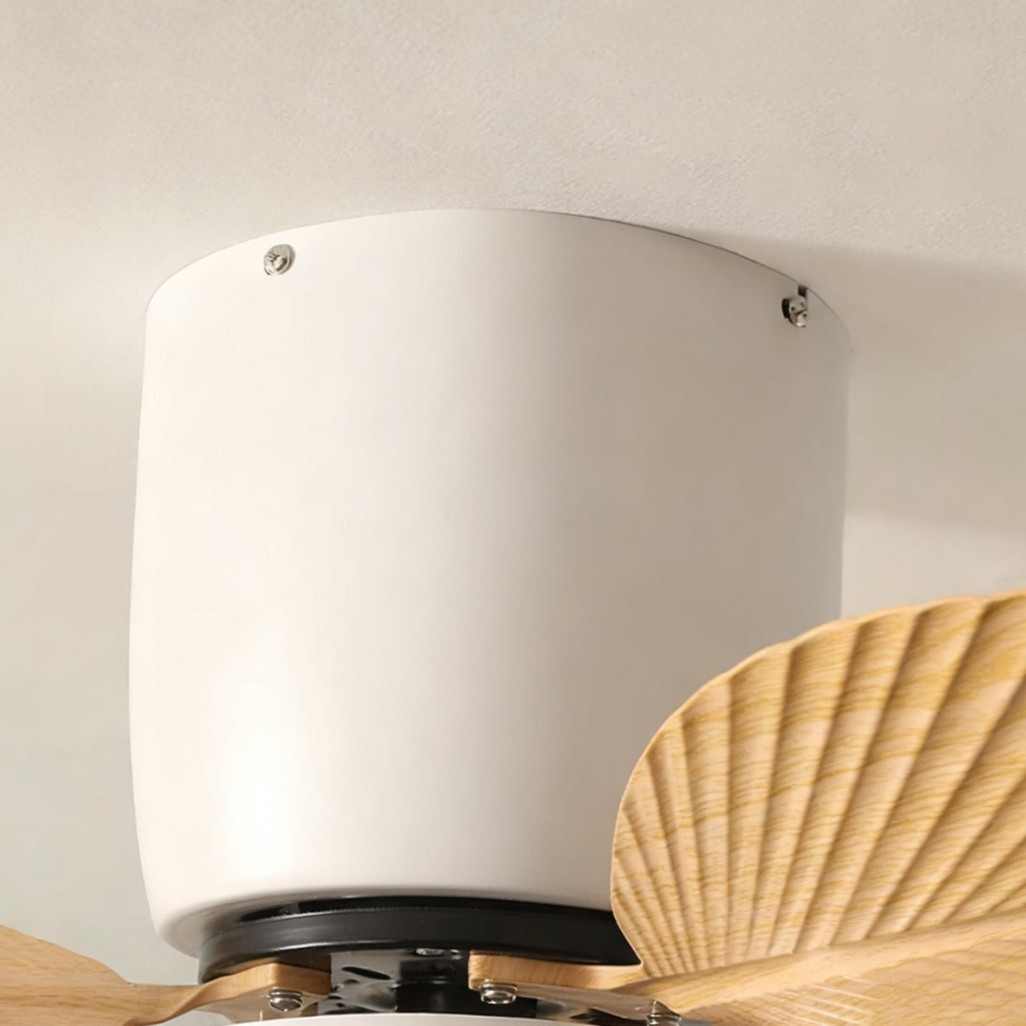 Melorie Ceiling Fan Light