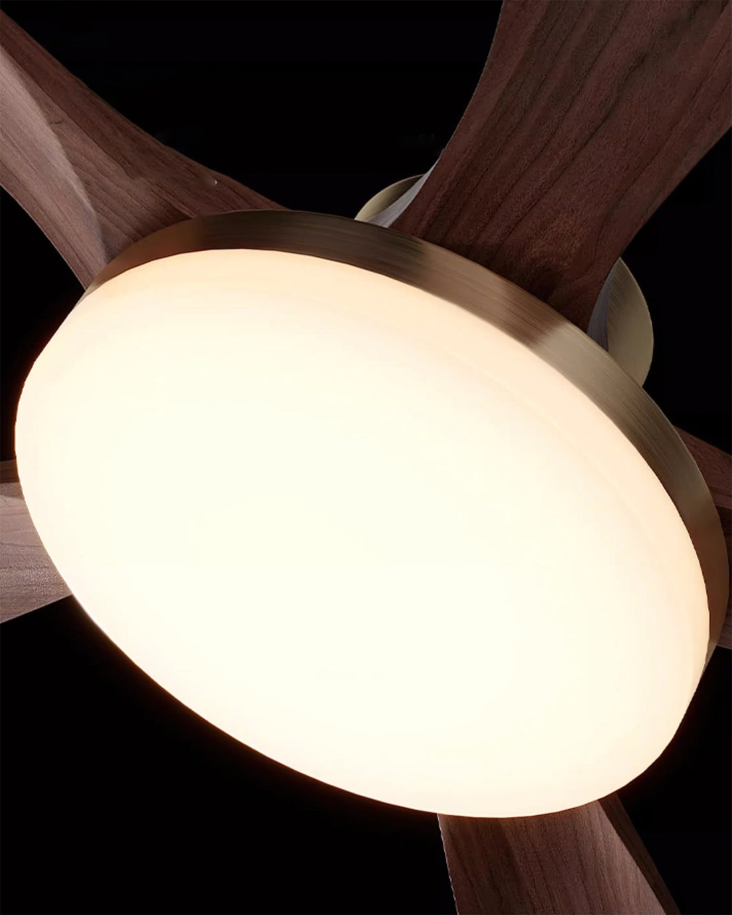 Minka Ceiling Fan Light