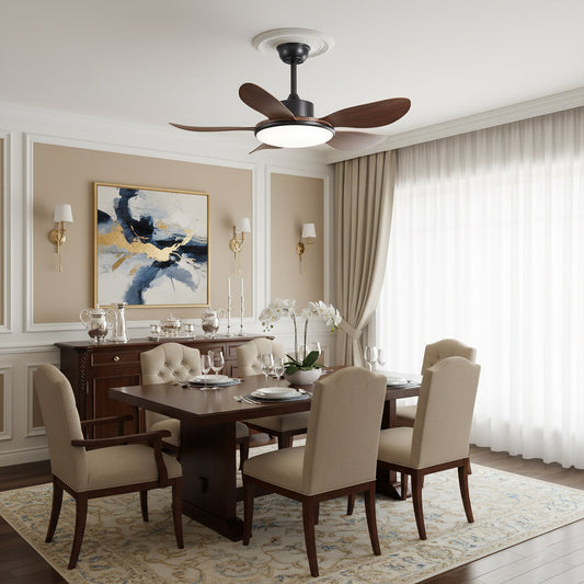 Ovlaim Ceiling Fan Light