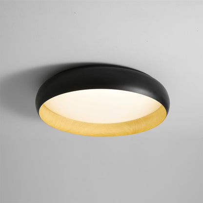 Alamus Ceiling Light