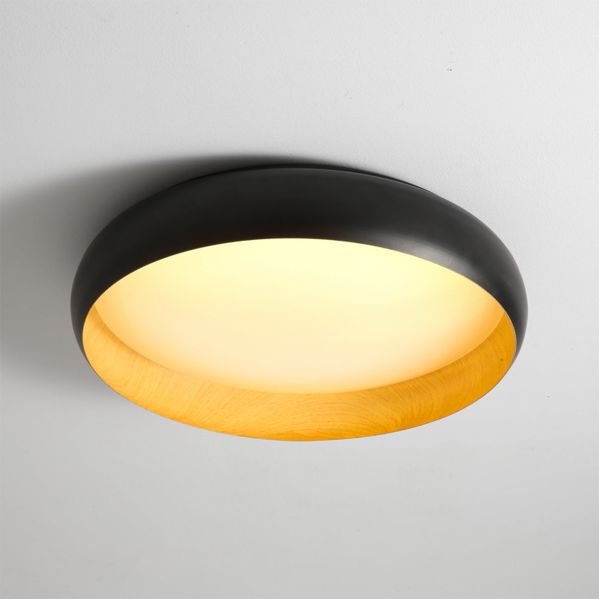 Alamus Ceiling Light