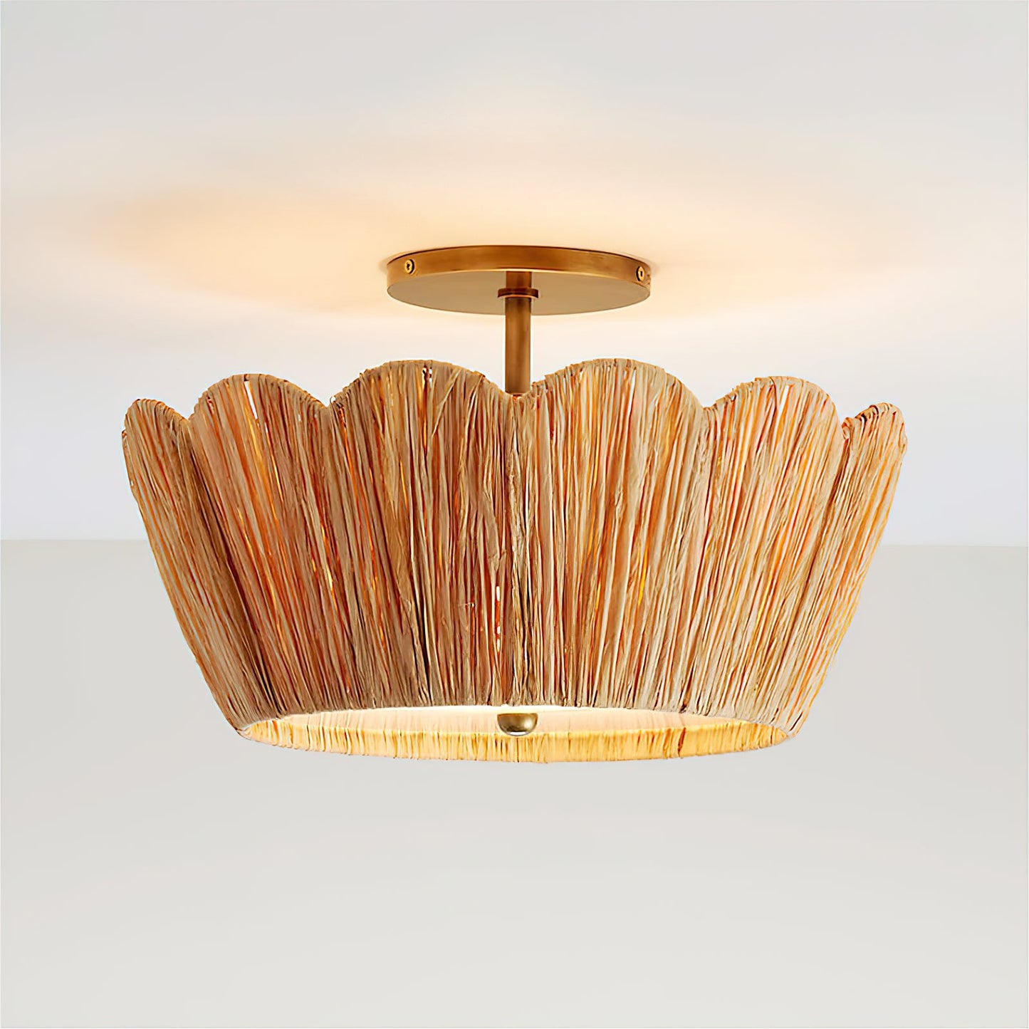 Alitzel Ceiling Light