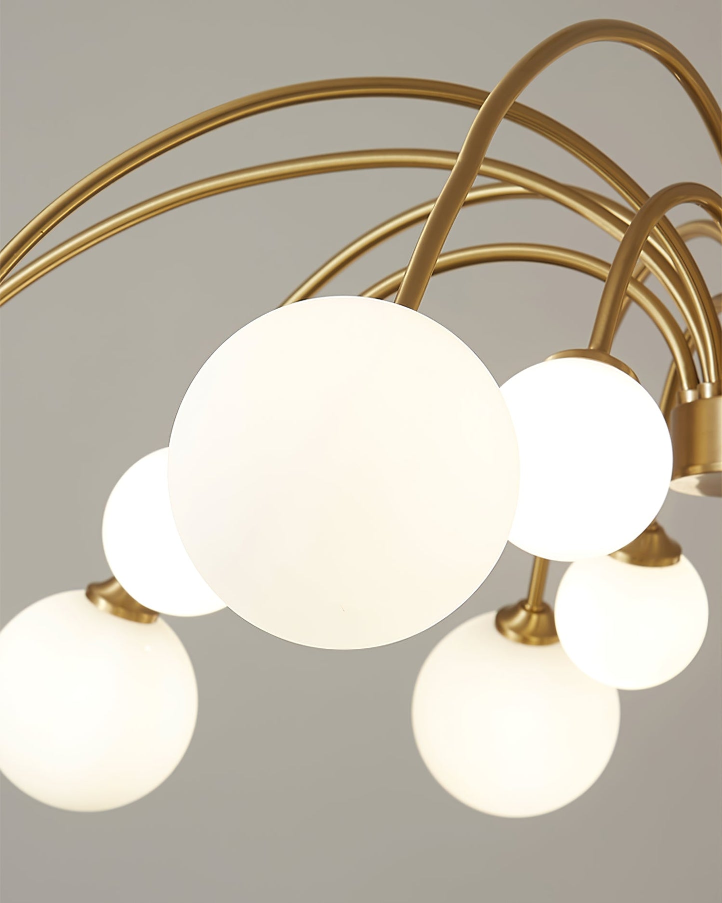 Apiales Chandelier