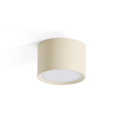 Asher Ceiling Light