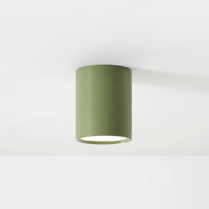 Asher Ceiling Light