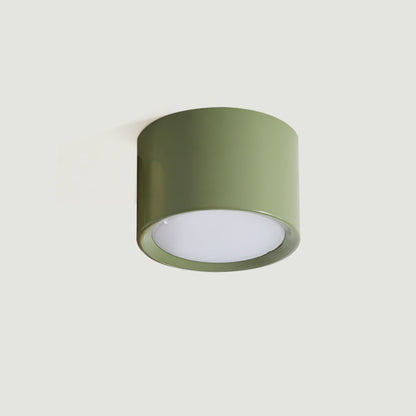 Asher Ceiling Light
