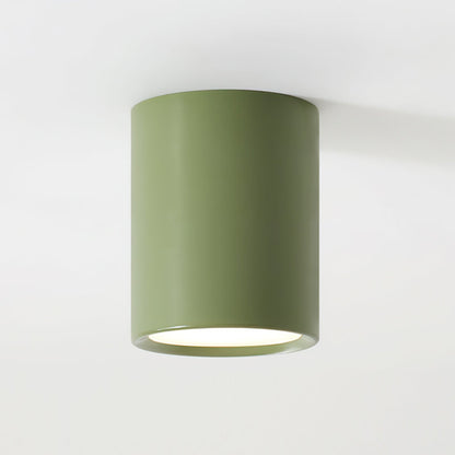 Asher Ceiling Light