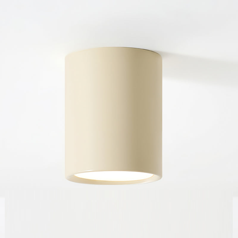 Asher Ceiling Light