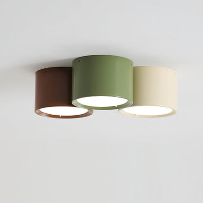 Asher Combination Ceiling Light