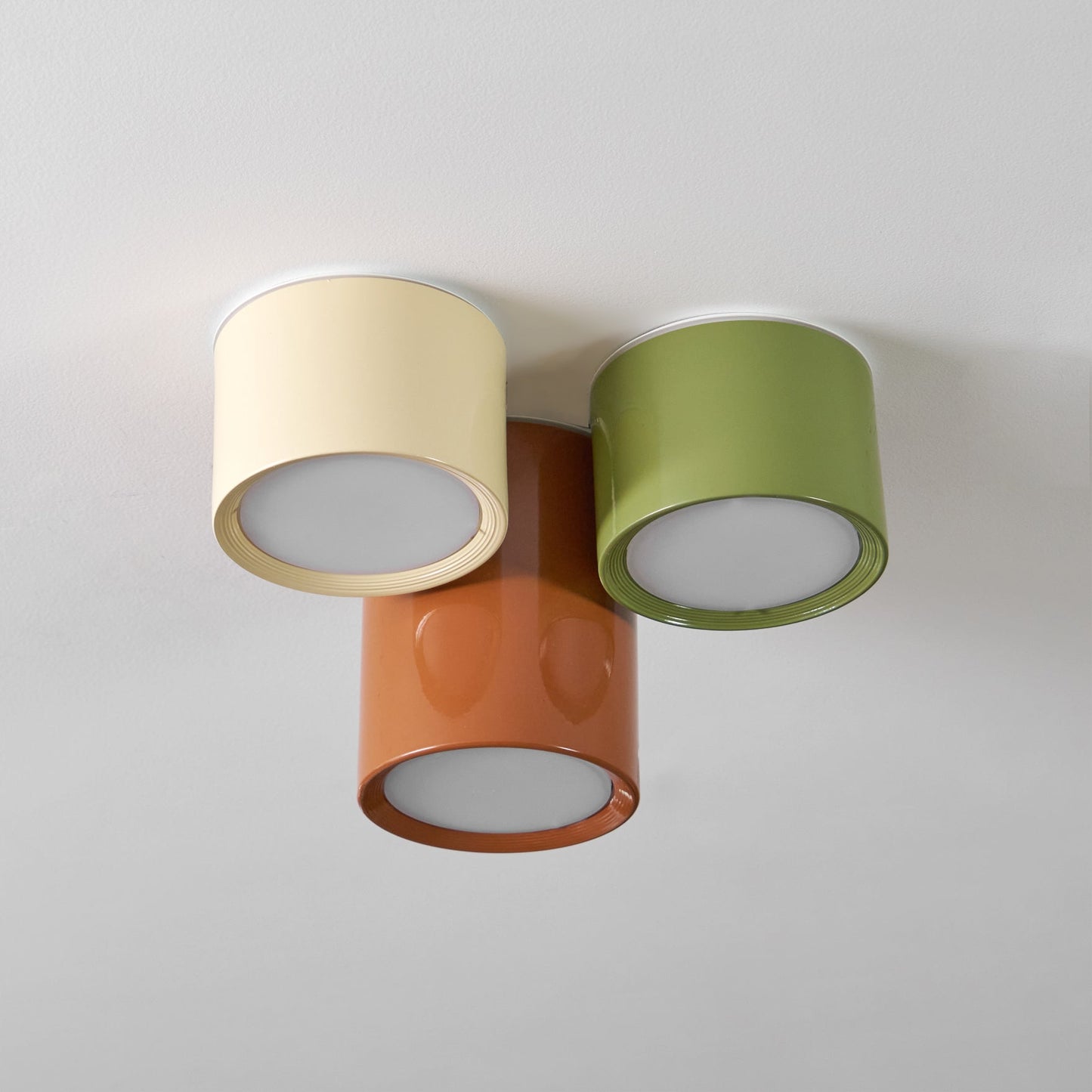 Asher Combination Ceiling Light