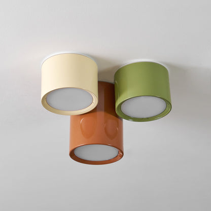 Asher Combination Ceiling Light