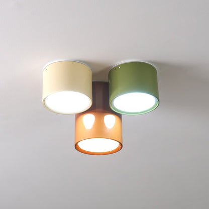 Asher Combination Ceiling Light