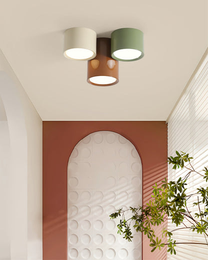 Asher Combination Ceiling Light