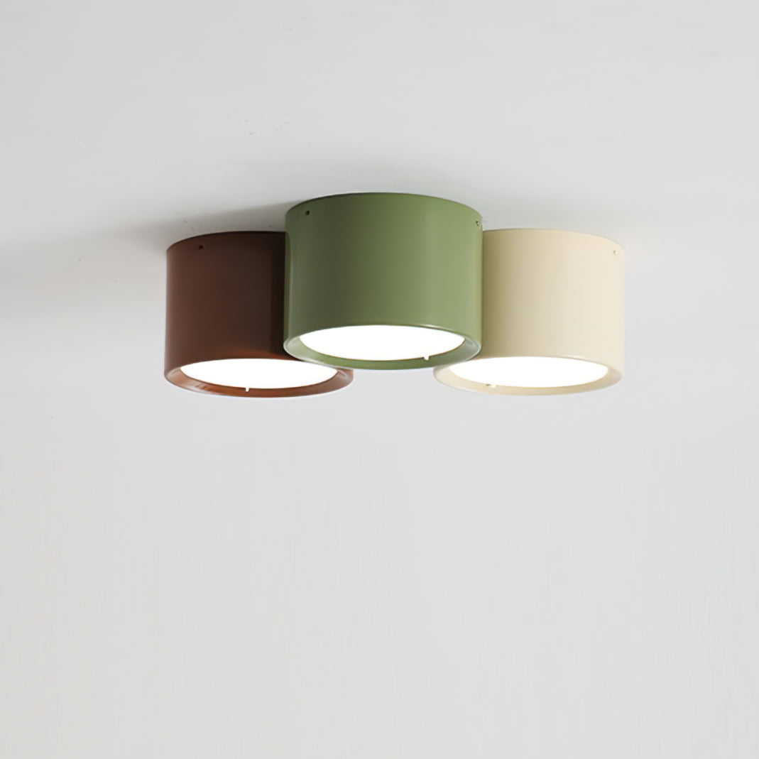 Asher Combination Ceiling Light