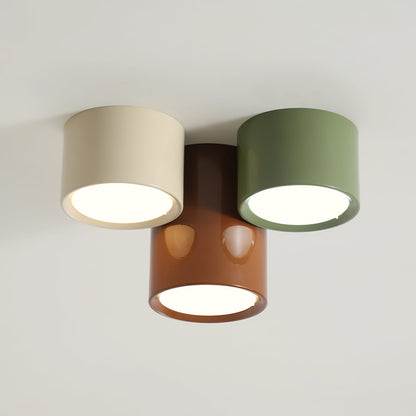 Asher Combination Ceiling Light