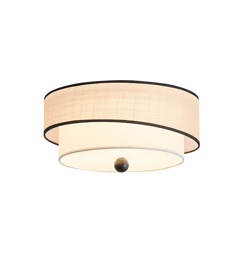 Axis Ceiling Light