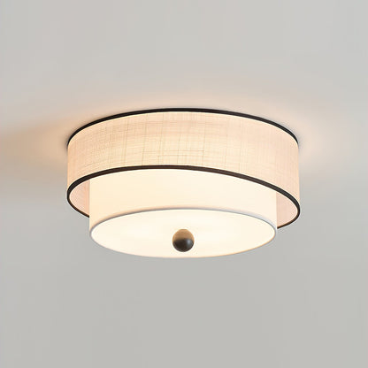 Axis Ceiling Light