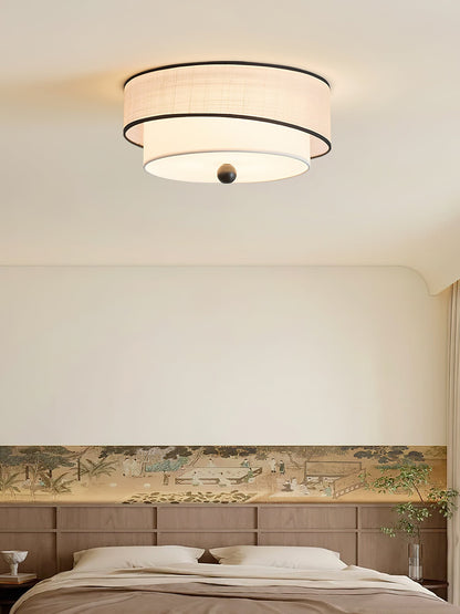 Axis Ceiling Light