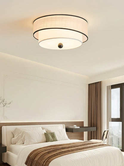 Axis Ceiling Light