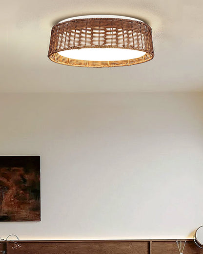 Bayou Ceiling Light