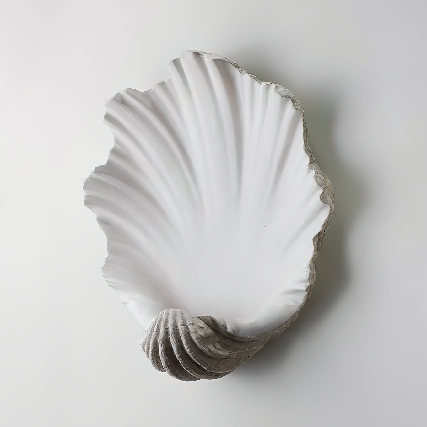 Bellacor Wall Light