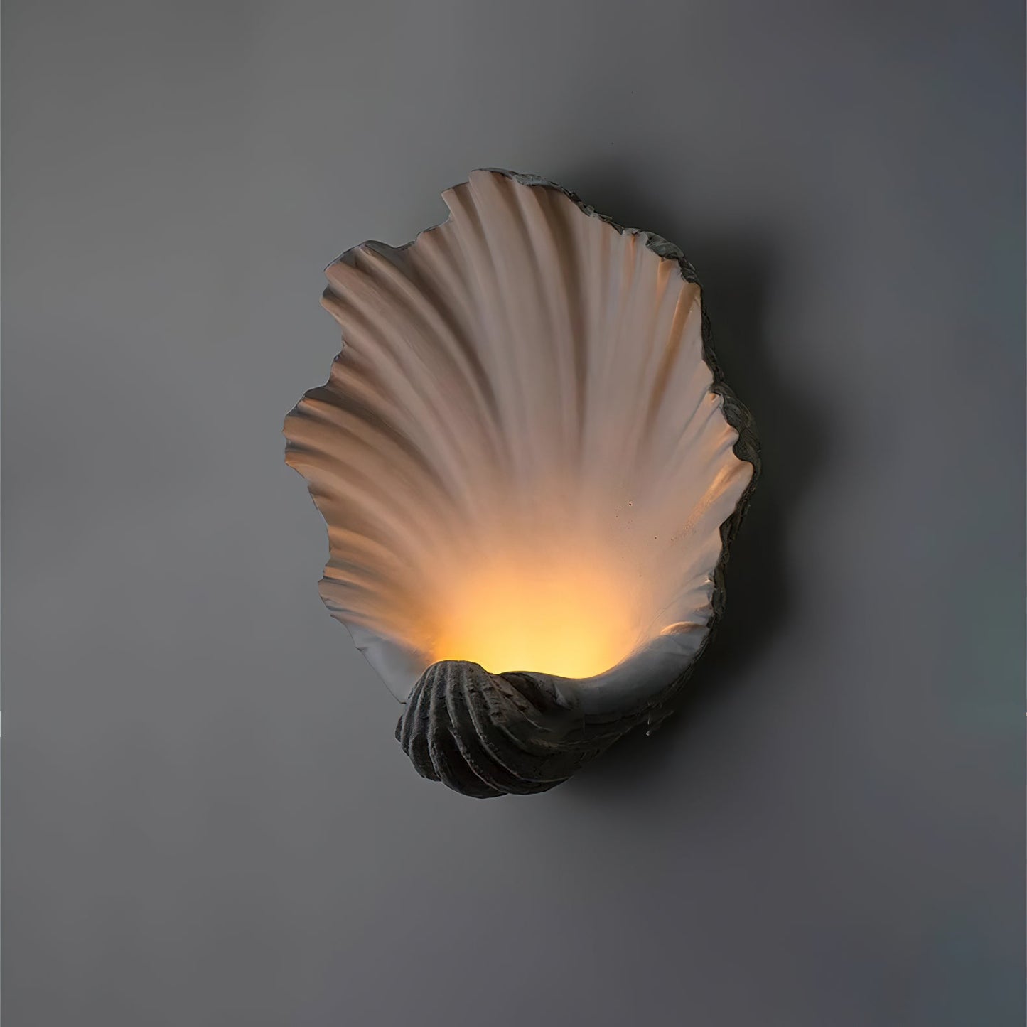 Bellacor Wall Light