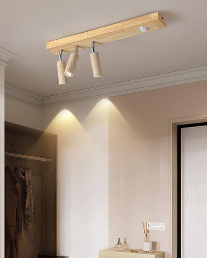 Berge Ceiling Light