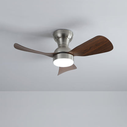 Bobe Ceiling Fan Light
