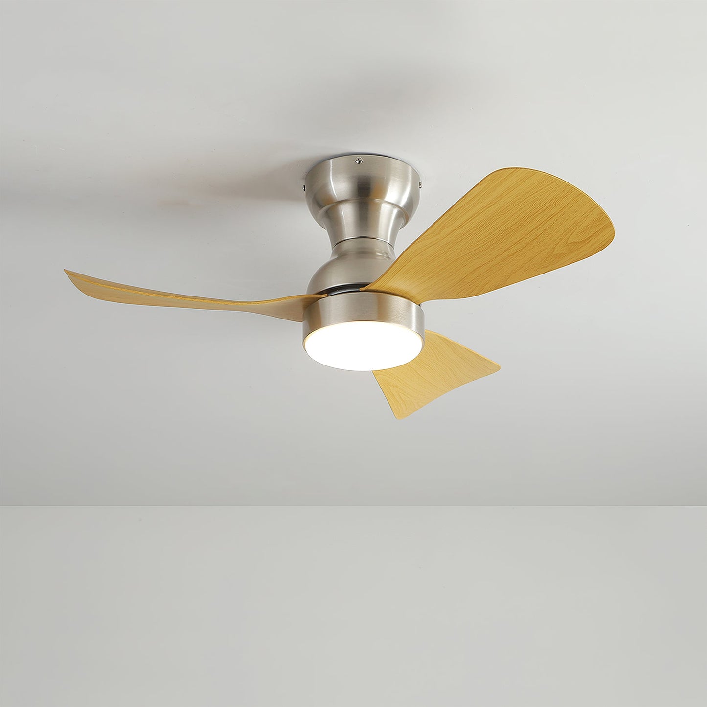 Bobe Ceiling Fan Light