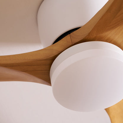 Brogan Ceiling Fan Light