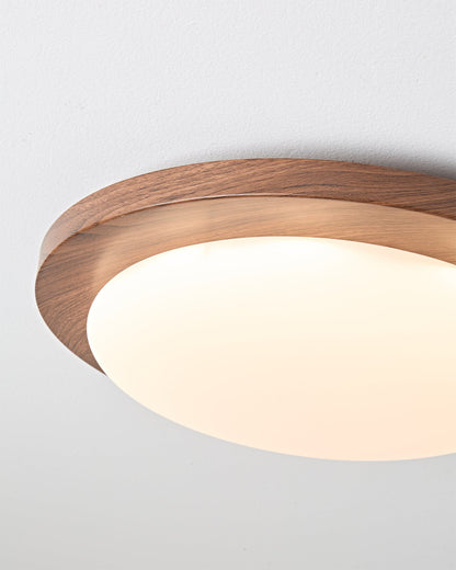 Bromo Ceiling Light