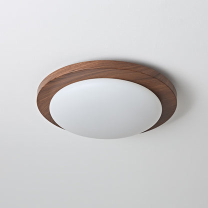 Bromo Ceiling Light