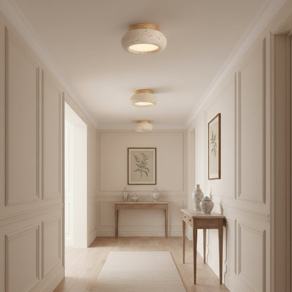 Cairns Ceiling Light