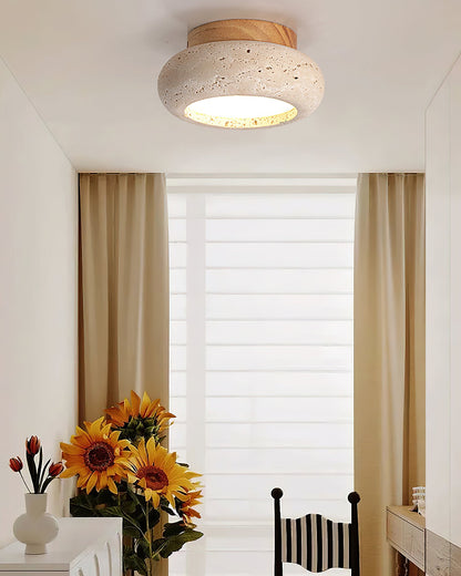 Cairns Ceiling Light