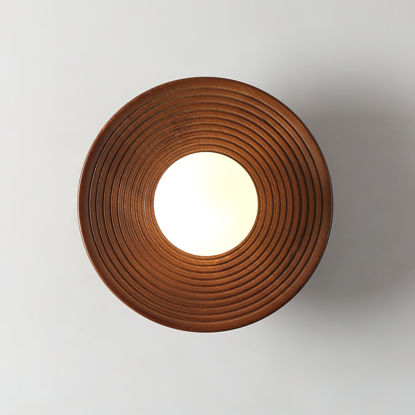 Carapace Ceiling Light