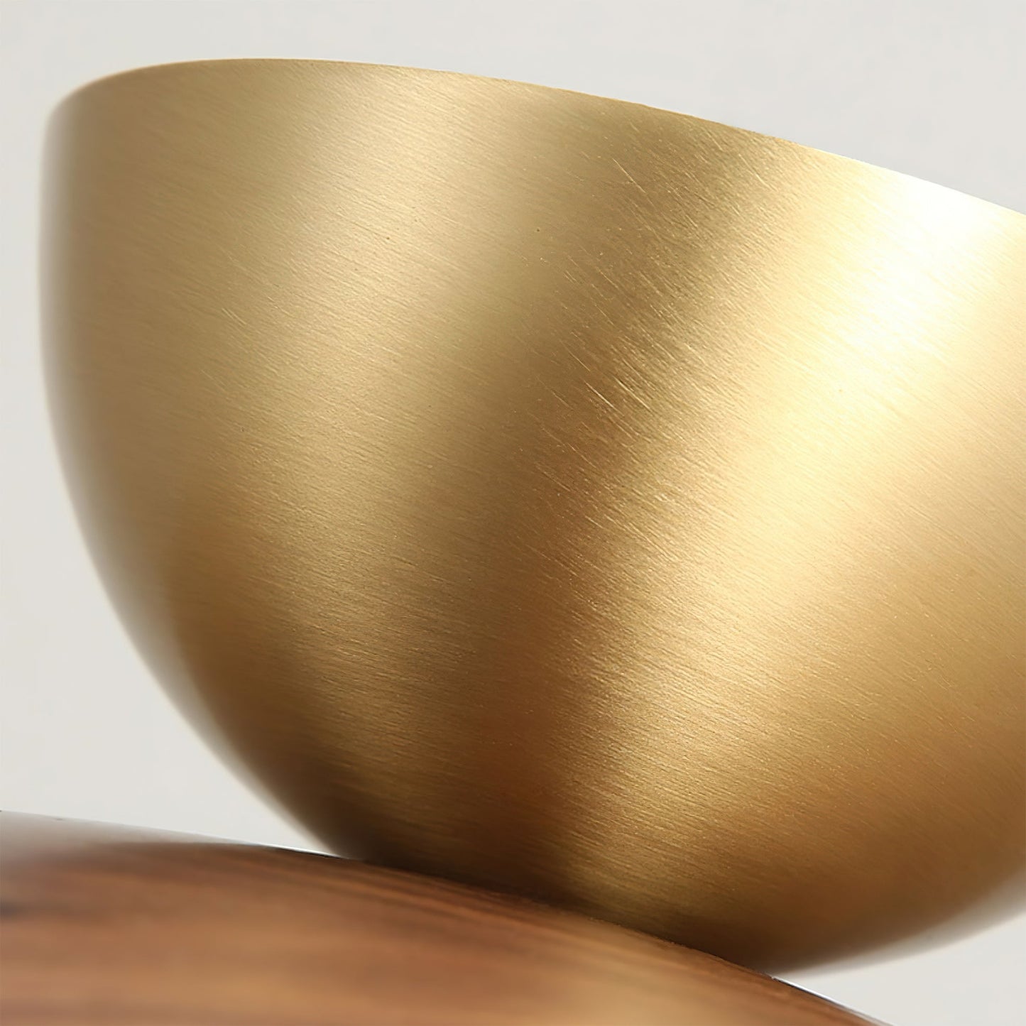 Carapace Ceiling Light