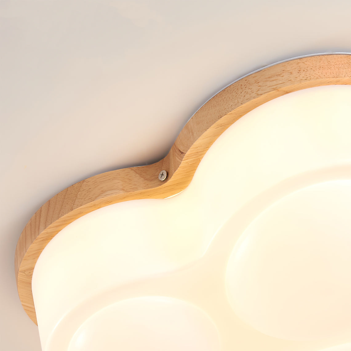 Cat Paw Ceiling Lamp