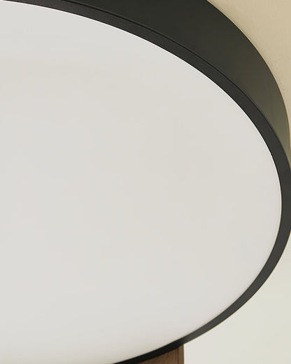 Claxy Ceiling Light