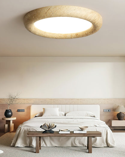 Concise Ceiling Light