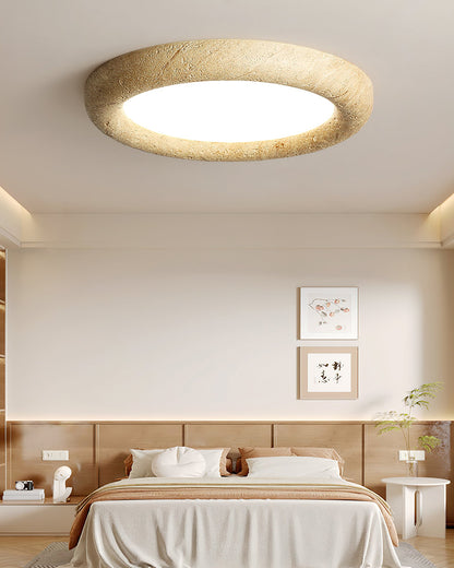 Concise Ceiling Light