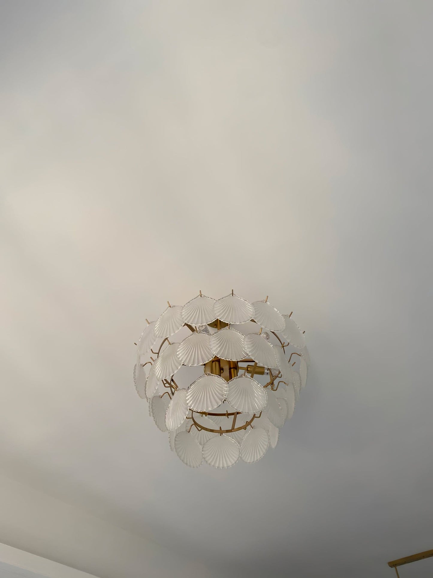 Shell Glass Chandelier