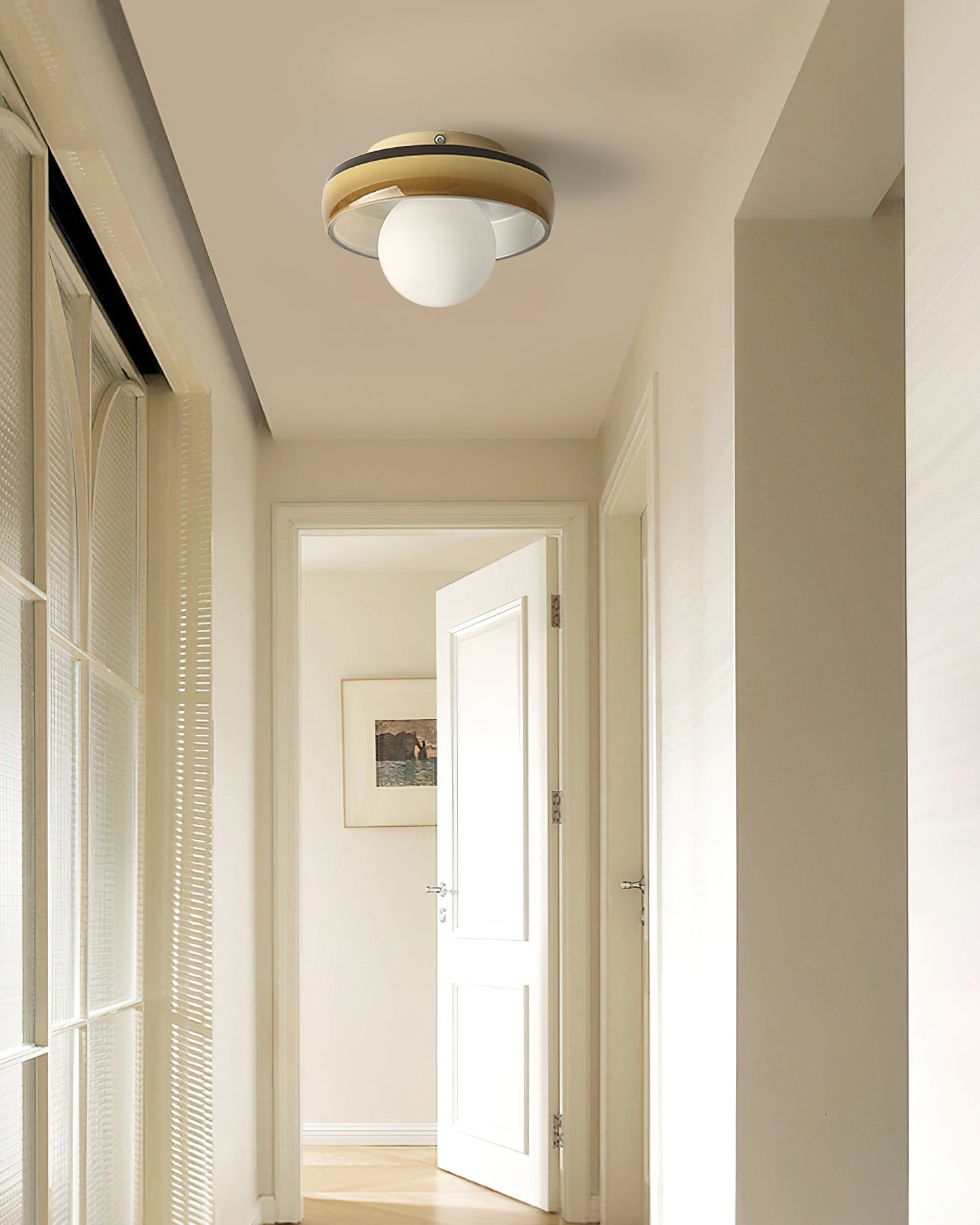 Disc Orb Ceiling Light