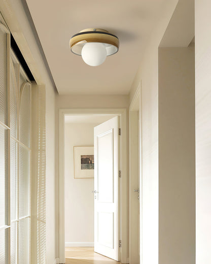 Disc Orb Ceiling Light