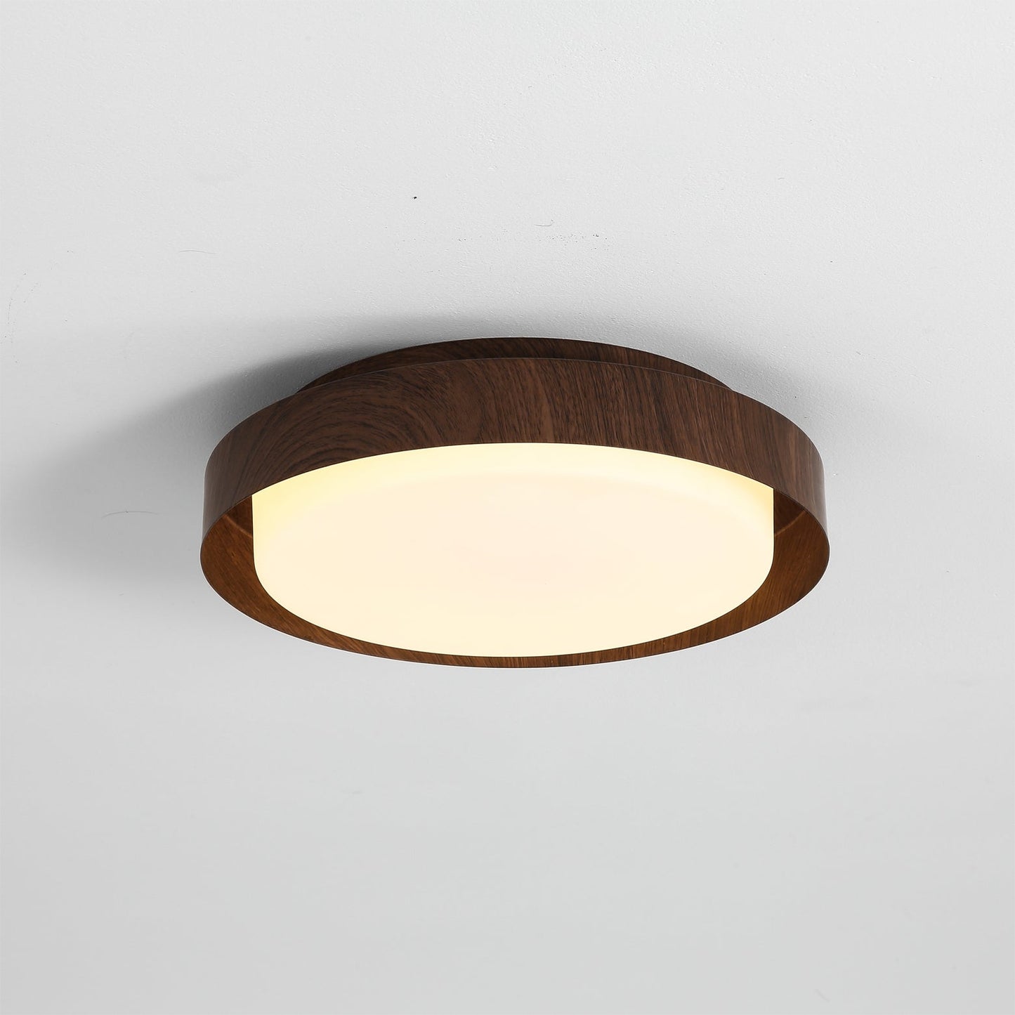 Ebern Ceiling Light