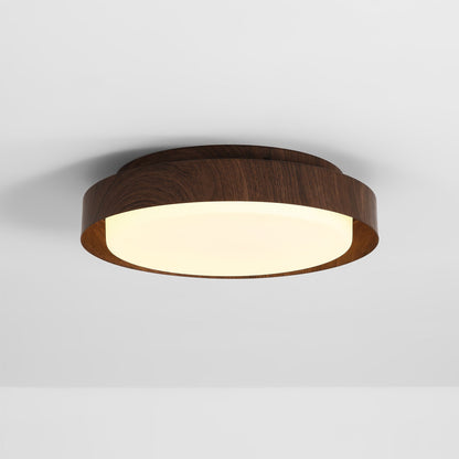 Ebern Ceiling Light