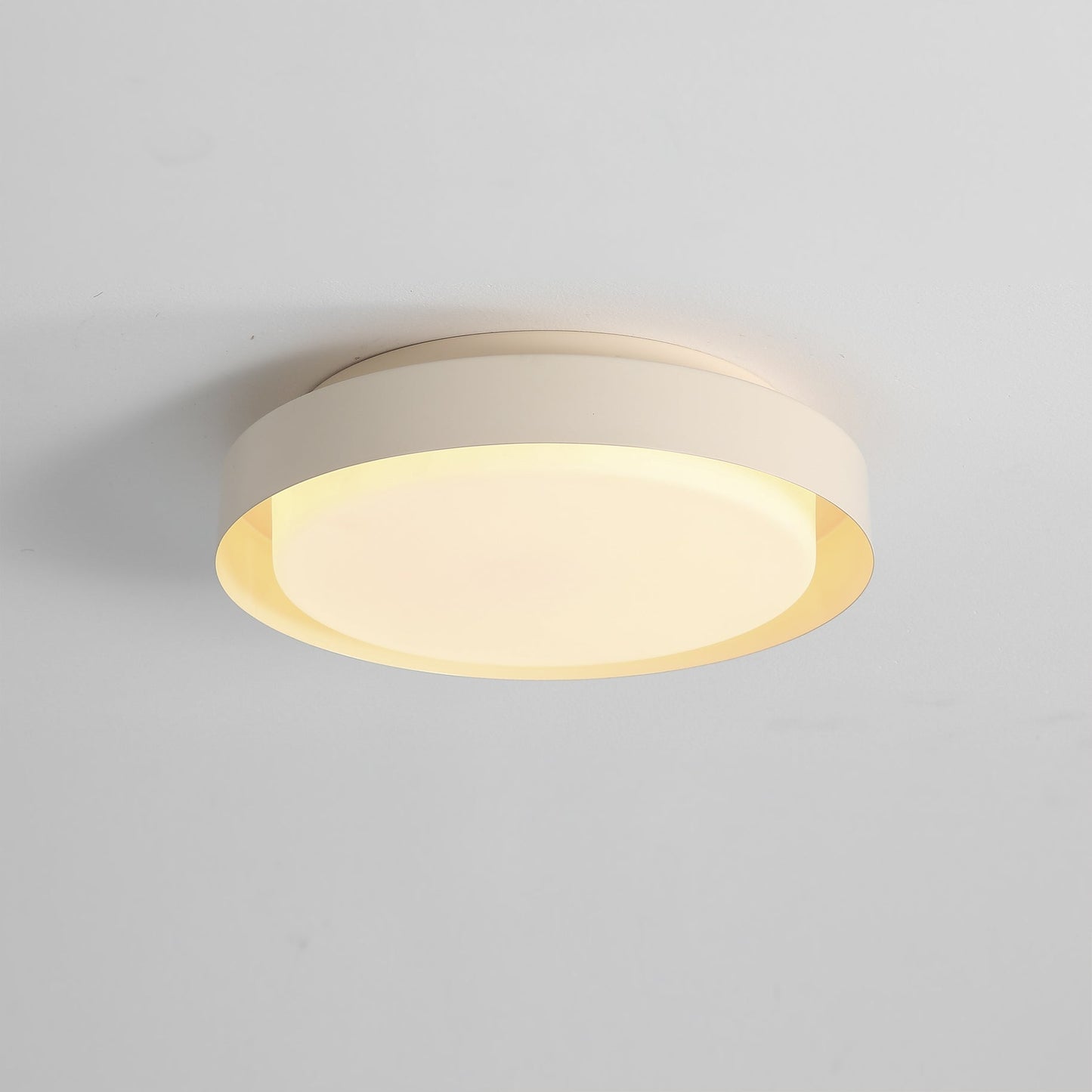 Ebern Ceiling Light