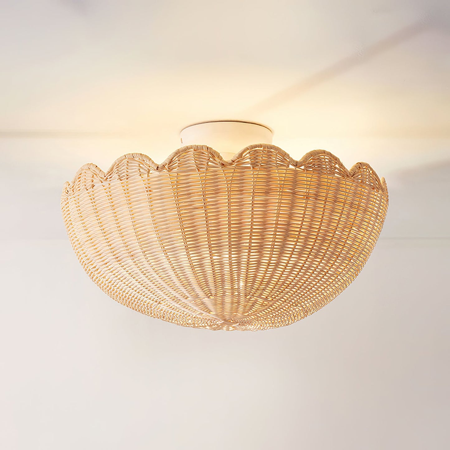 Elior Ceiling Light